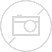 Žica stranskega diska X3/X5 Gen 2